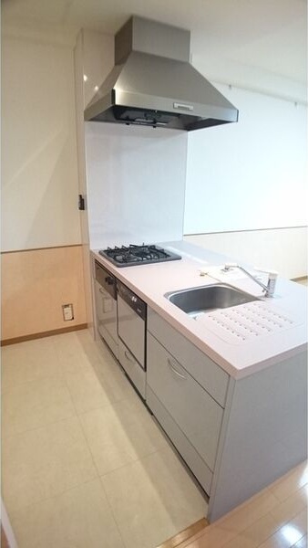 オルムドグランメール大通 キッチン