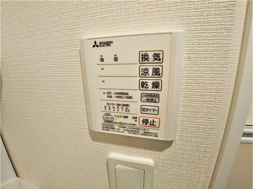 クレイノフラーズ　アント　ルポ その他