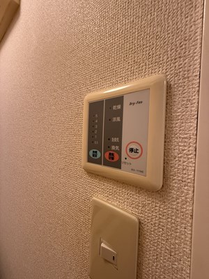 レオパレス藤 その他