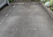 レオパレスダンデライオン その他