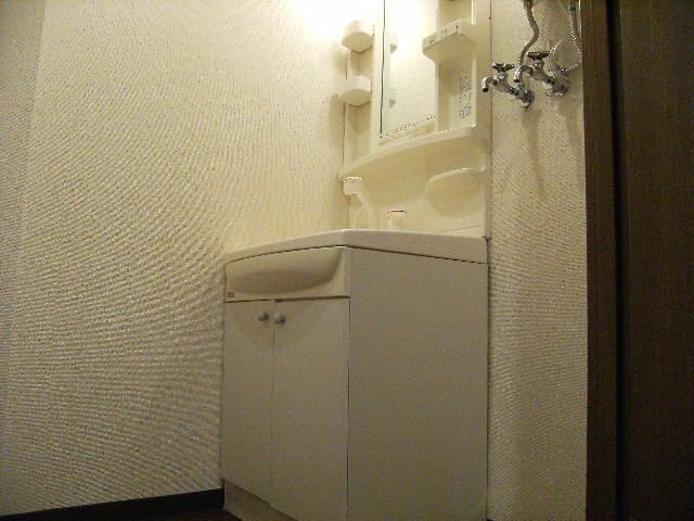東洋ハイツC棟 洗面所