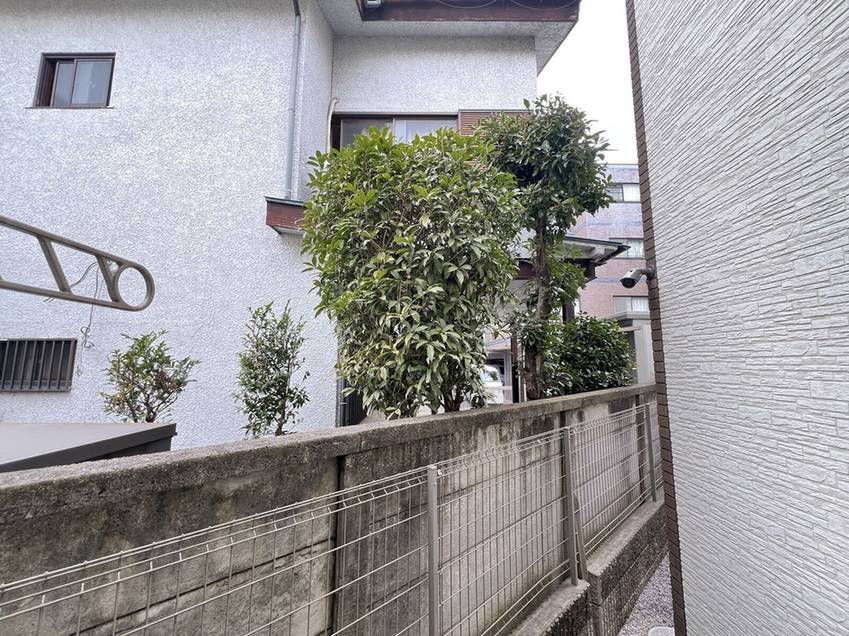 クレイノソルジェンテ その他