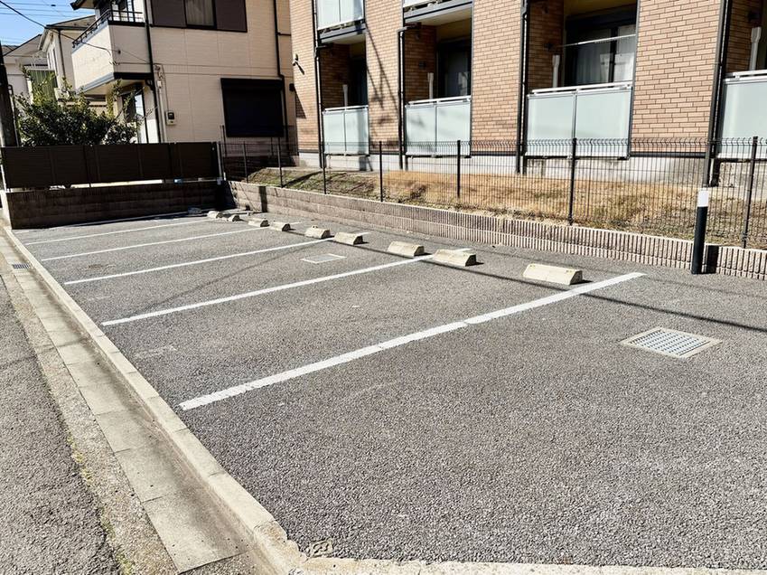 レオネクストレーブウィン その他