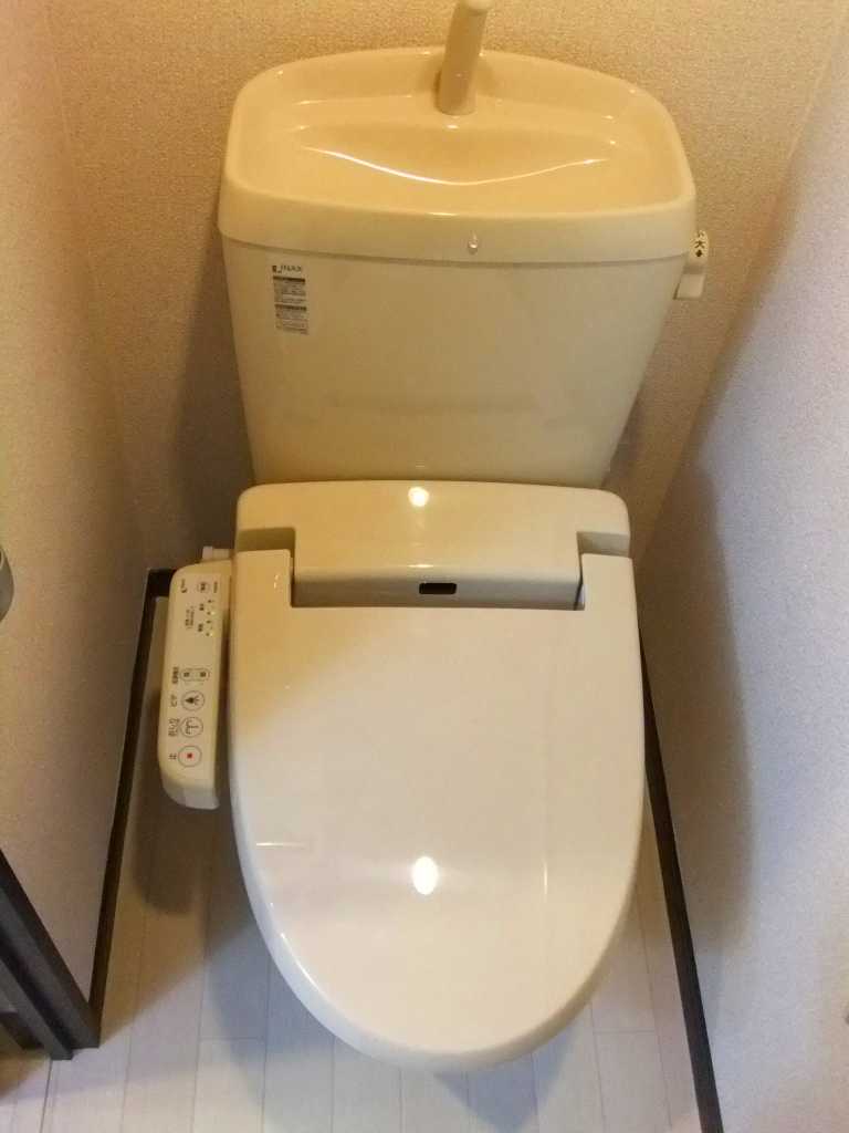 レオネクストステラ その他