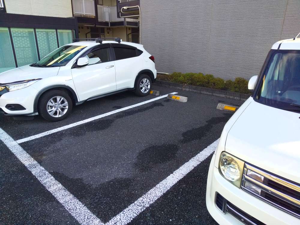 レオパレスカーニバルⅠ その他