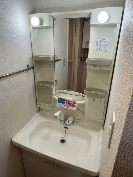 シュクル医大南 洗面所