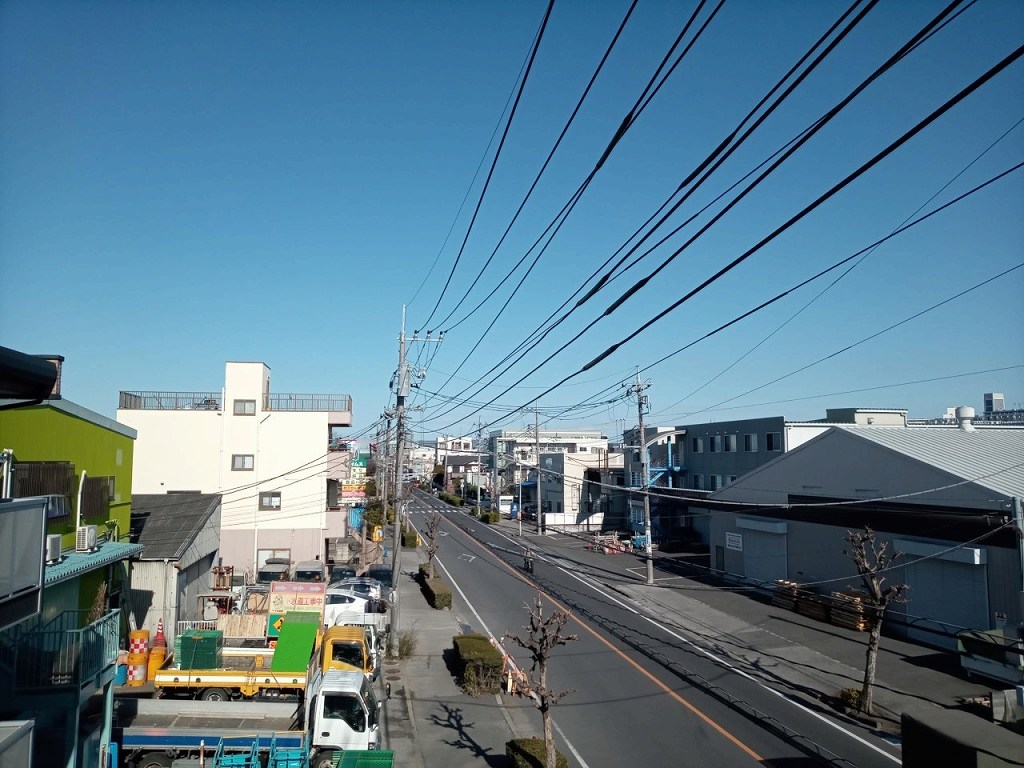 レオパレステリオス その他