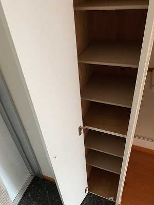 レオパレステリオス その他