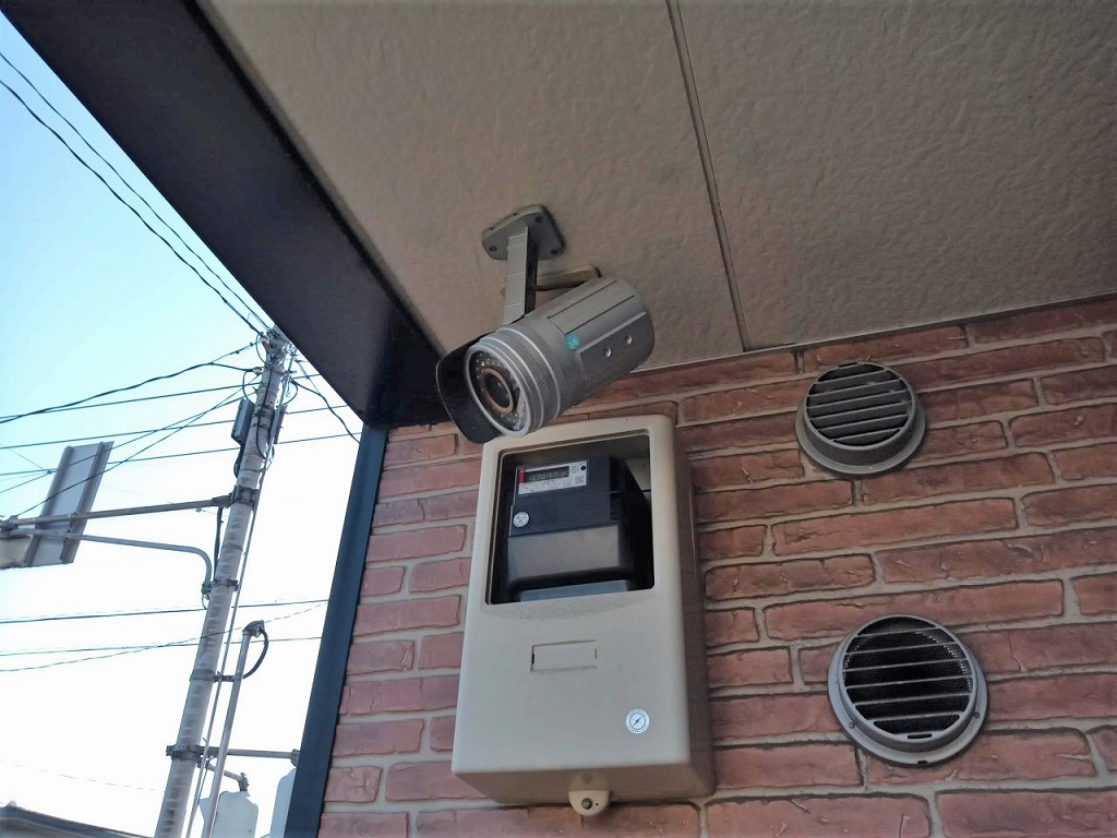 レオパレステリオス その他