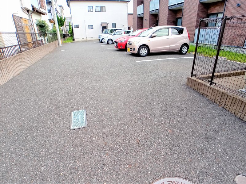 レオネクストコスモスⅡ その他