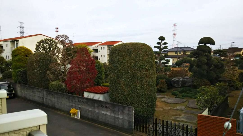 レオネクストサンタ その他
