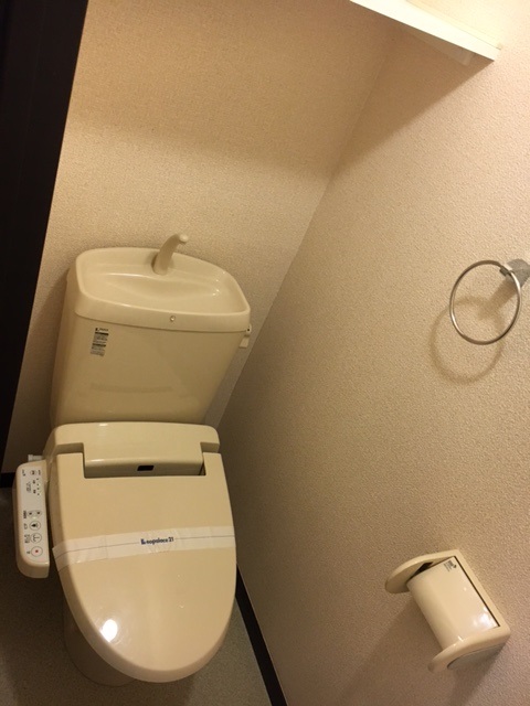 レオネクストカロータ その他