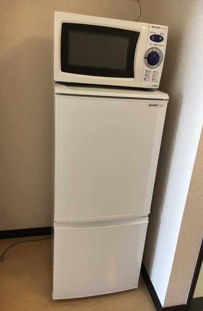 レオネクストカロータ その他