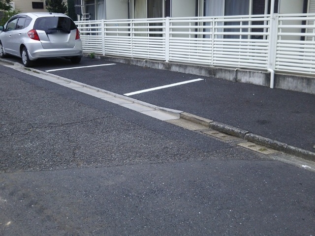 レオネクストコヅチⅥ その他