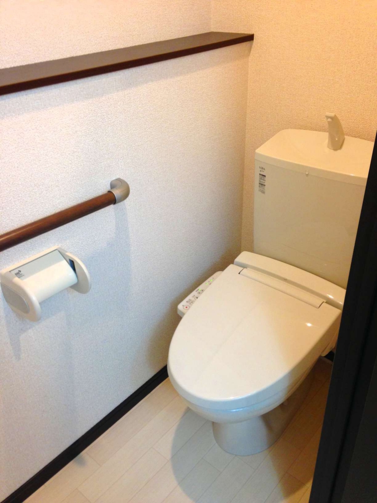 レオネクストコヅチⅥ その他