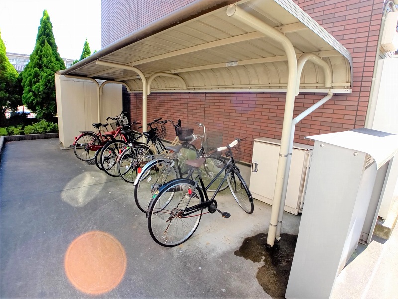 レオネクストコスモス その他