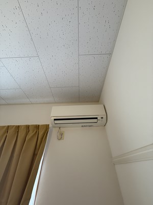 レオパレス猫座 その他