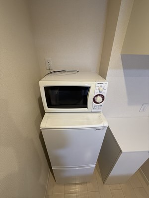 レオネクストラ　フォンテ その他