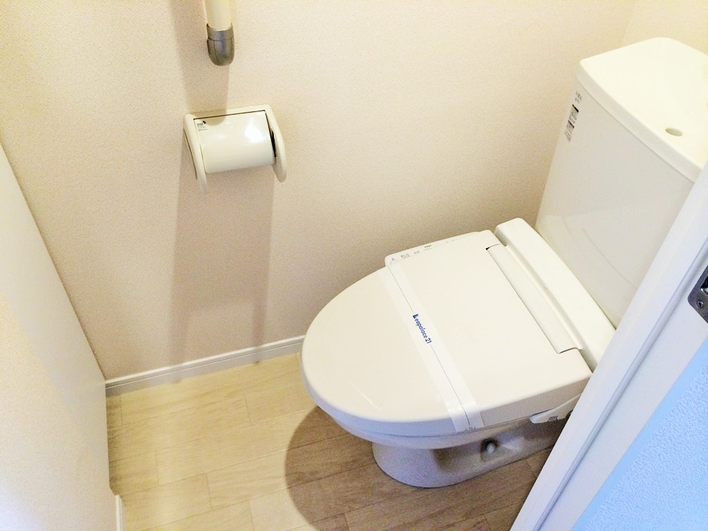 レオネクスト琉海 その他
