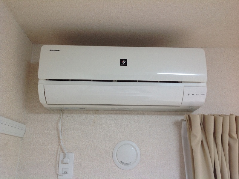 レオネクストヴァンベール　ドゥ その他