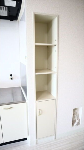 セントポーリアスィート 収納