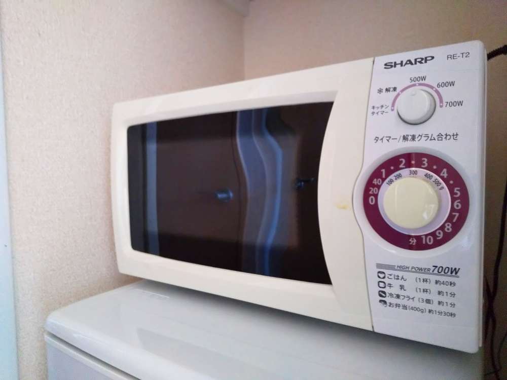 レオパレスカーニバルⅡ その他