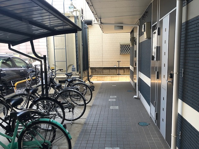 レオネクストリモーネⅤ その他