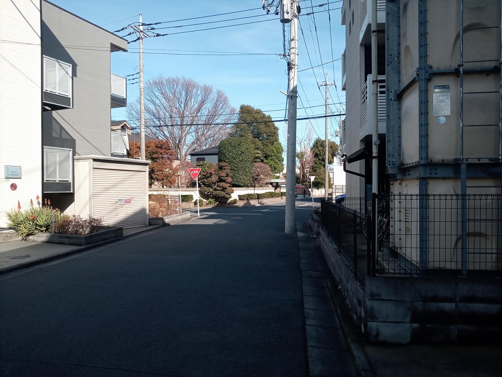 レオネクストリモーネⅤ その他