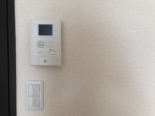 レオネクストリモーネⅤ その他
