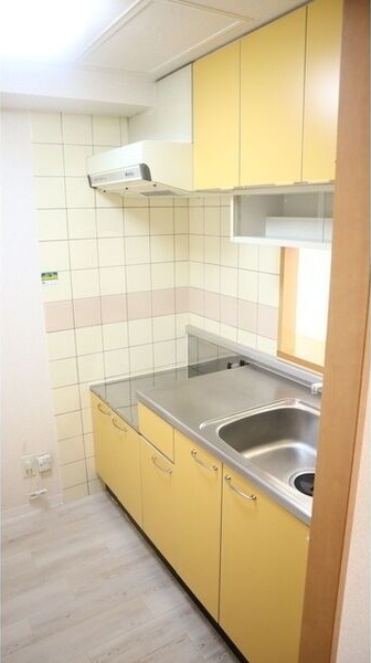 アーク菊水43 キッチン