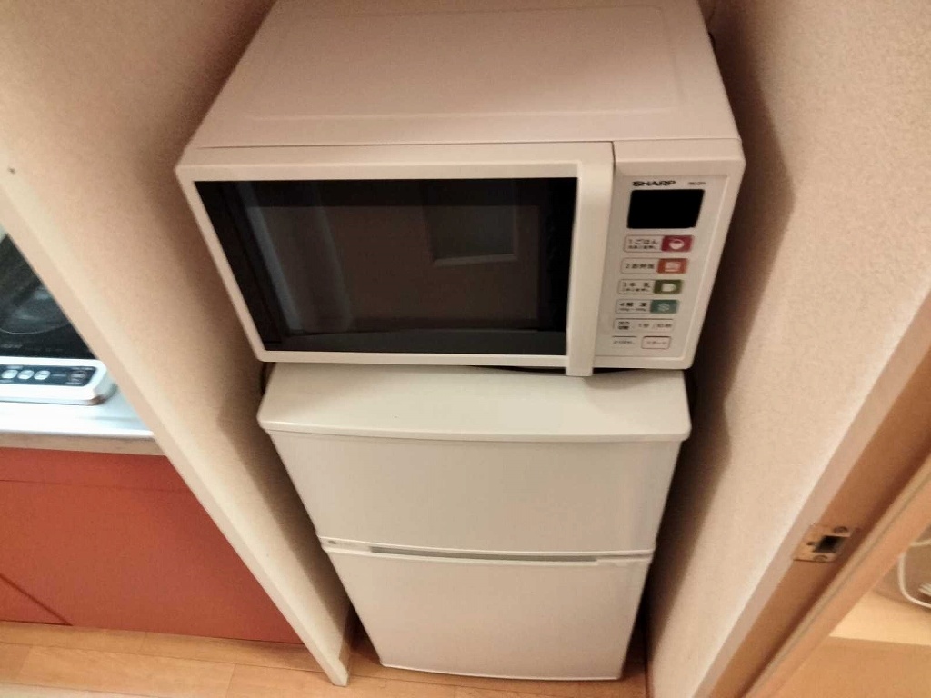 レオパレステルセイラ その他