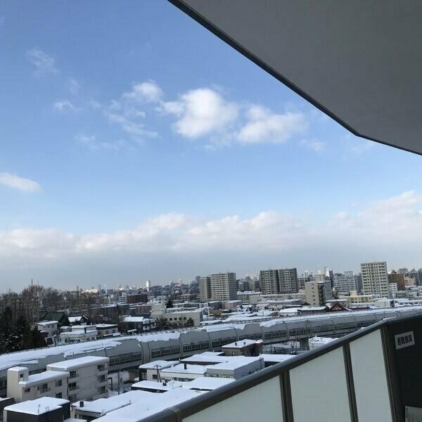 アルカディア平岸パークフロント 眺望