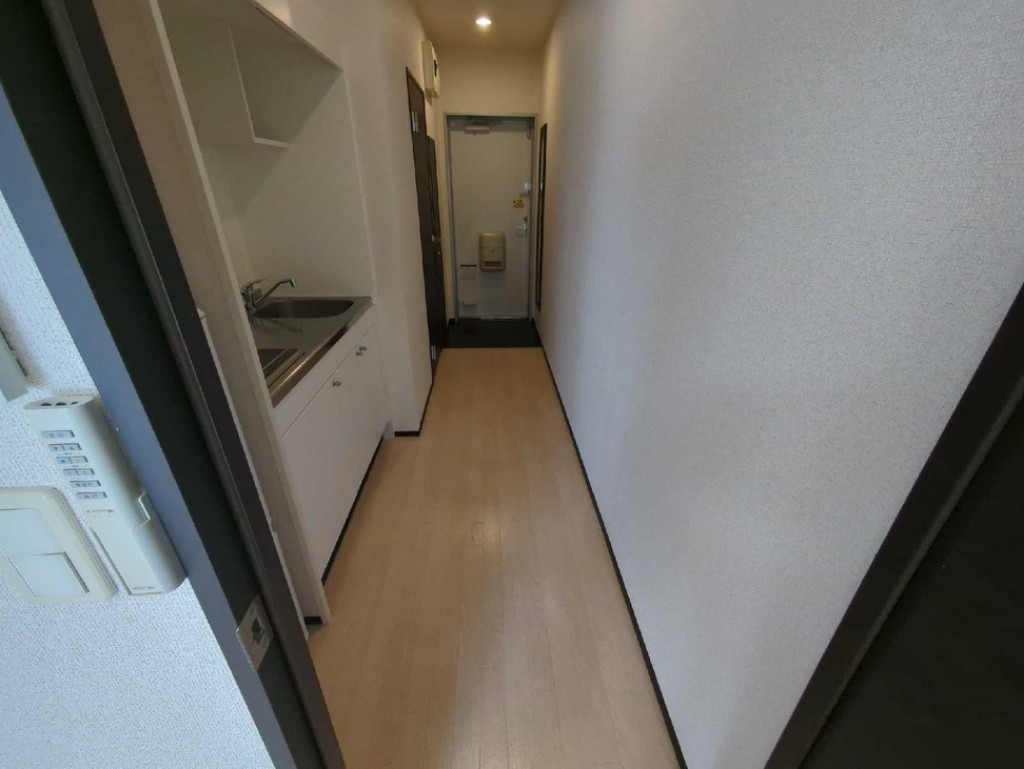 レオネクストルミニア その他