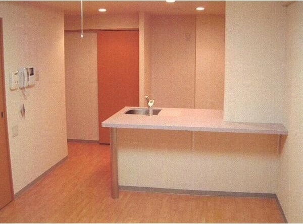 グランメール緑道舘 キッチン