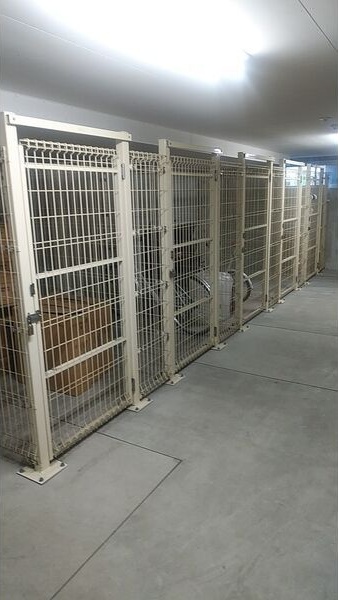 エナコート大通22 駐車場