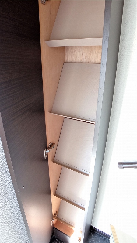 レオネクストコスモス その他
