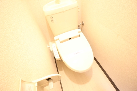 レオネクスト風 その他