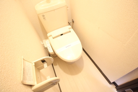 レオネクスト風 その他