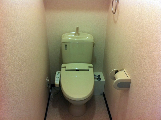レオネクストルーチェ その他
