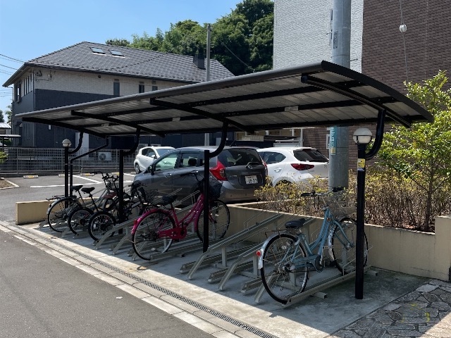 ミランダキャトル その他