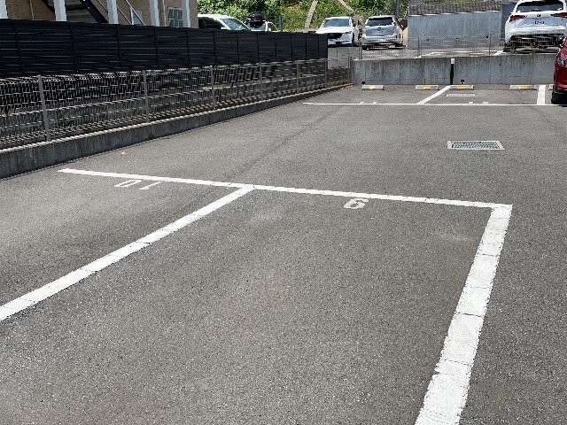 ミランダキャトル その他