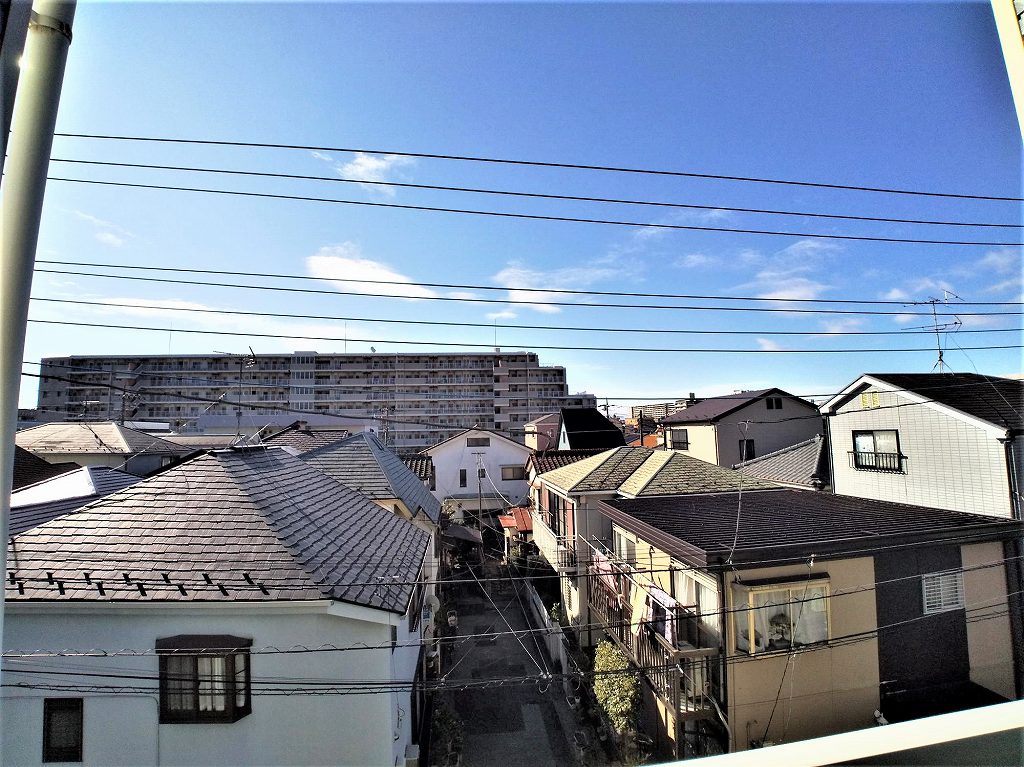 レオネクストラフィーネ その他