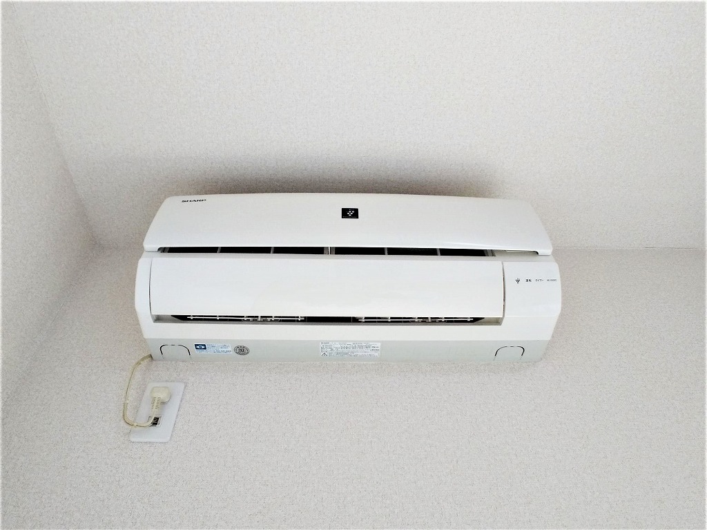 レオネクストラフィーネ その他