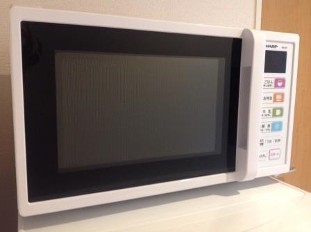 レオネクストグリーンビレッジⅡ その他