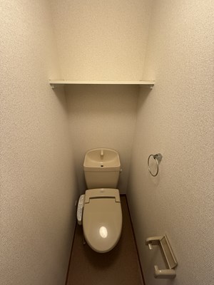 レオパレスカーツ その他
