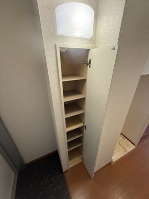 レオパレスカーツ その他