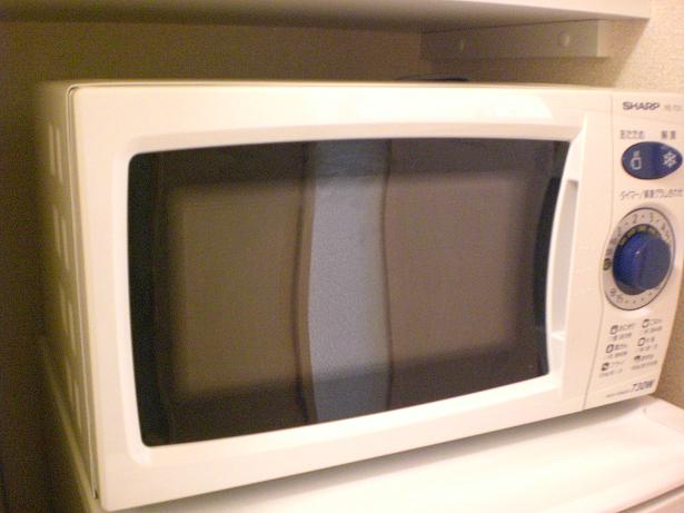 レオパレスリバーヴィレッジＡ その他