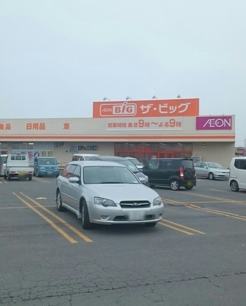 ピュア　ソレイユＳ その他