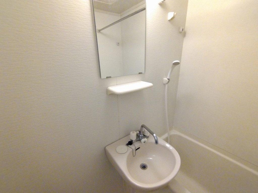 レオパレスデルタ その他