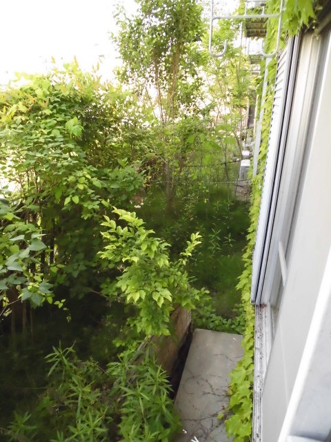 パナハイツ古曽部 その他